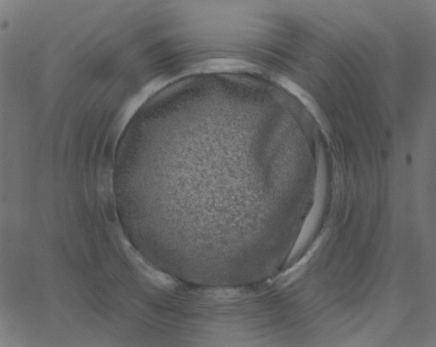 X0000067901473200604271840