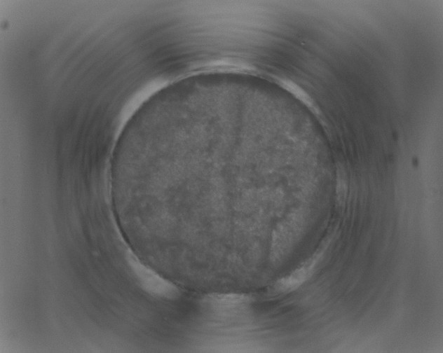 X0000067901474200604271840