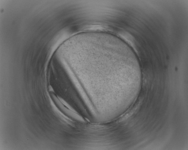 X0000067901475200604271840