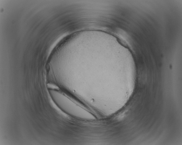 X0000067901476200604271840