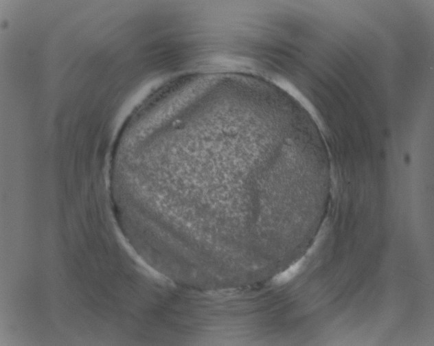 X0000067901477200604271840