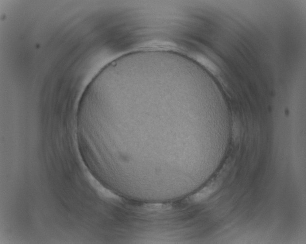 X0000067901478200604271840