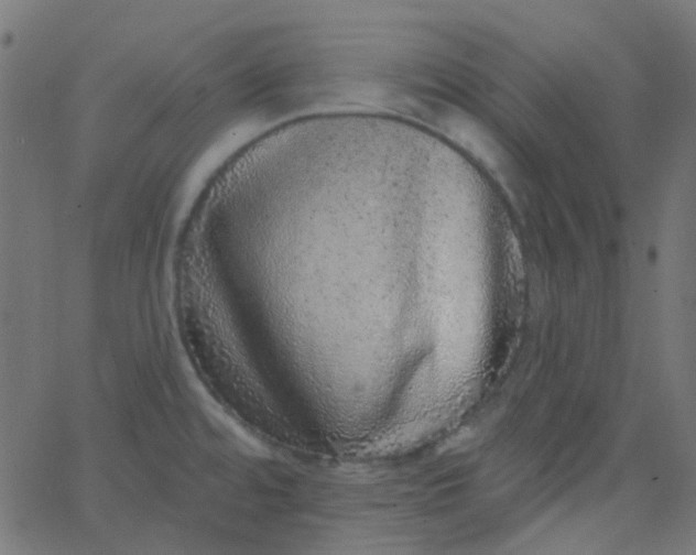 X0000067901480200604271840