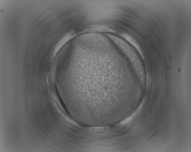 X0000067901481200604271840