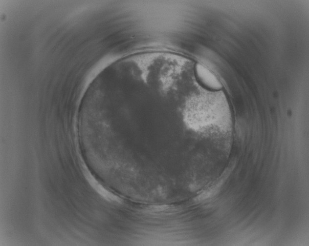 X0000067901482200604271840