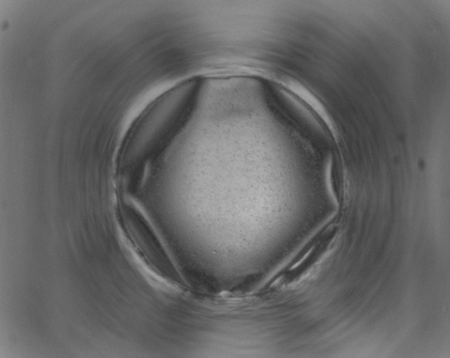 X0000067901485200604271840