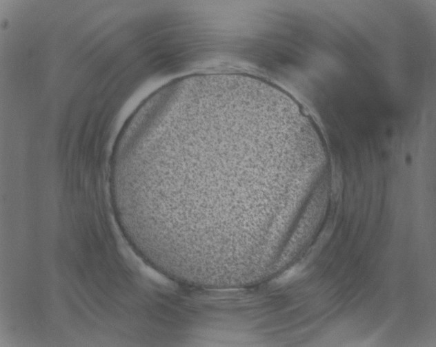 X0000067901486200604271840