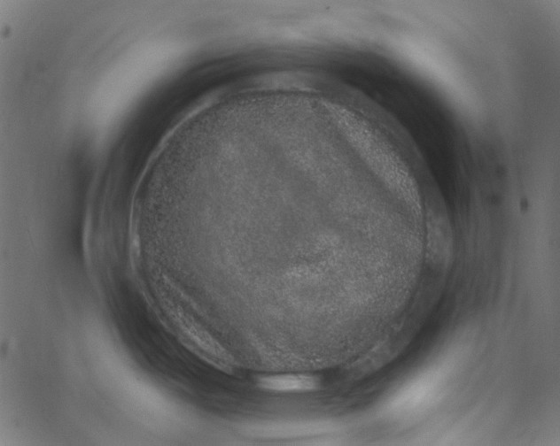 X0000067901487200604271840