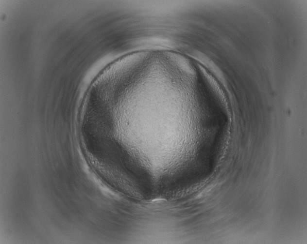 X0000067901488200604271840