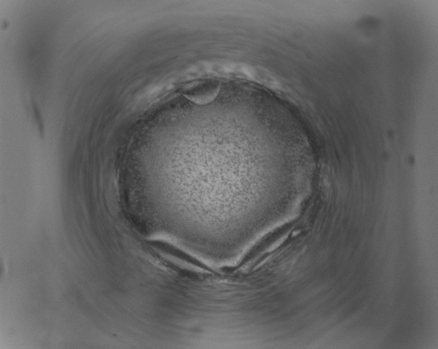 X0000067901489200604271839