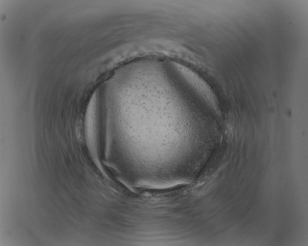 X0000067901490200604271839