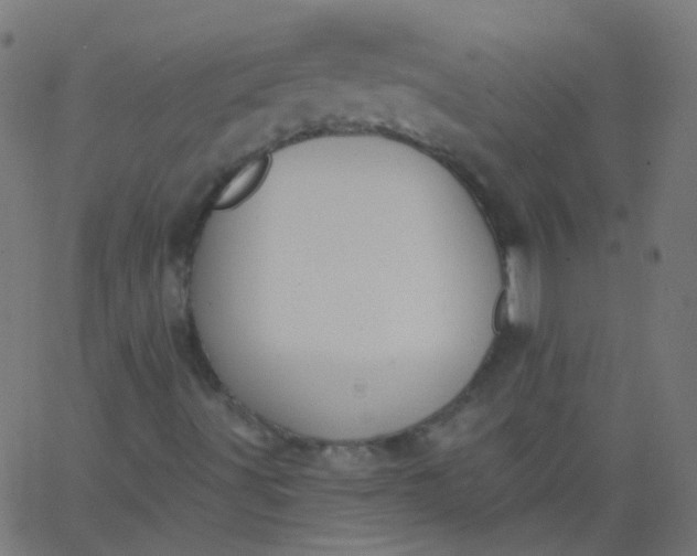 X0000067901491200604271839