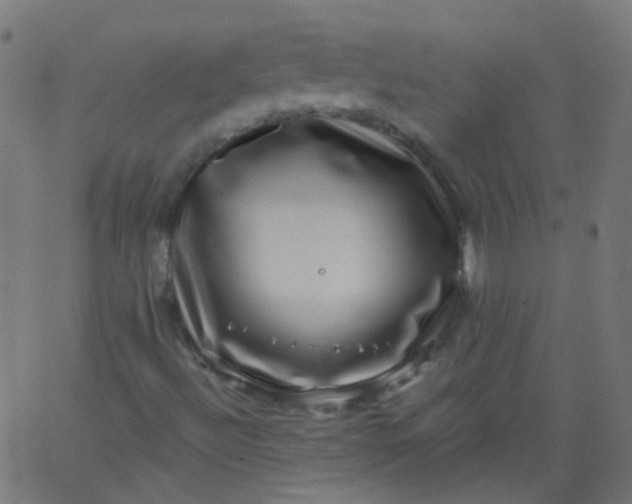 X0000067901492200604271839