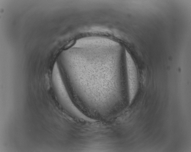 X0000067901493200604271839