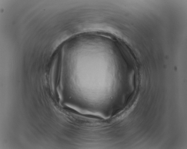 X0000067901497200604271839