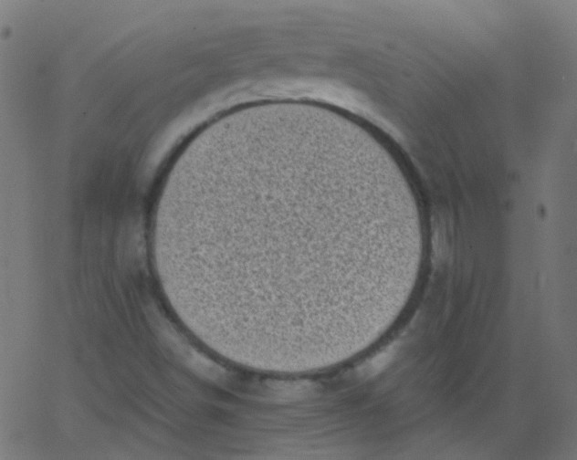 X0000067901498200604271839