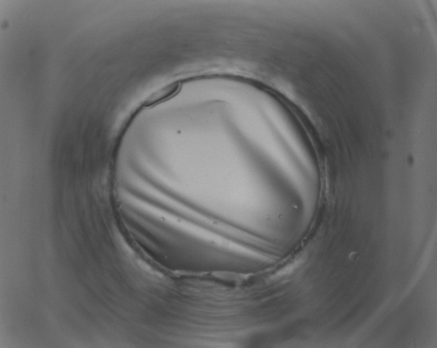 X0000067901500200604271839