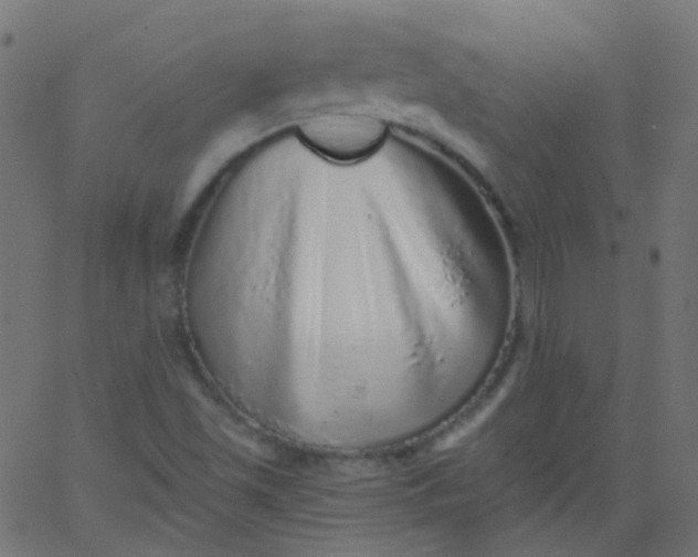 X0000067901501200604271839