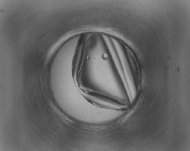 X0000067901502200604271839