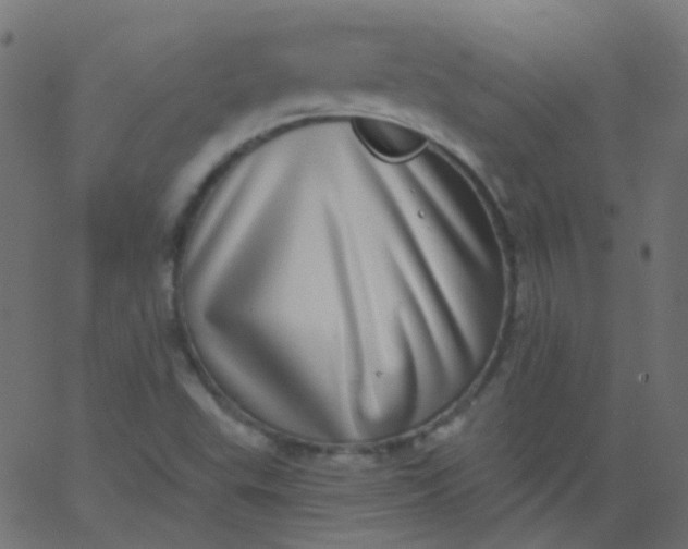 X0000067901503200604271839