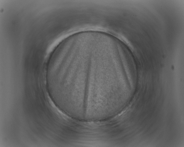 X0000067901504200604271839