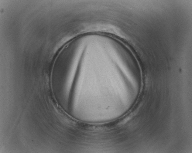 X0000067901505200604271839