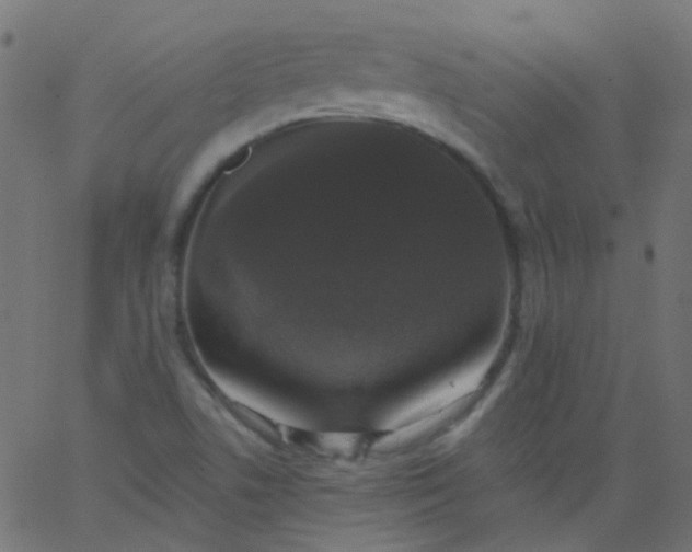 X0000067901506200604271839