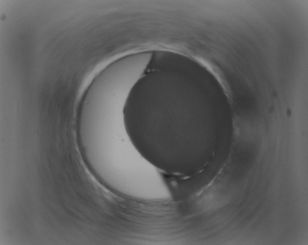 X0000067901508200604271839