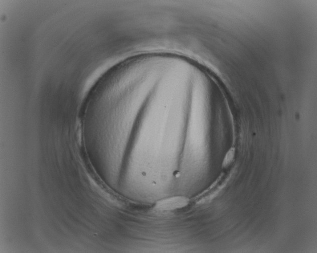 X0000067901509200604271839