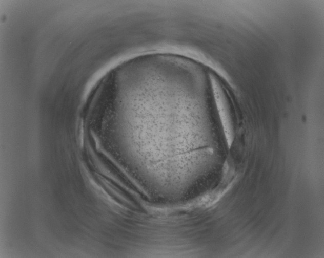 X0000067901510200604271839