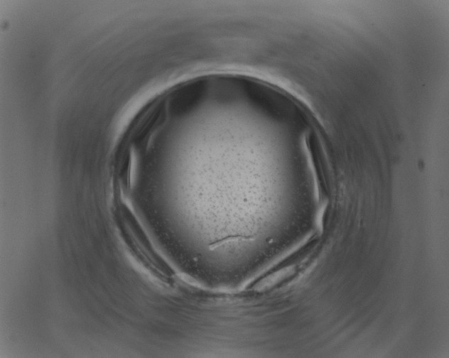 X0000067901511200604271839