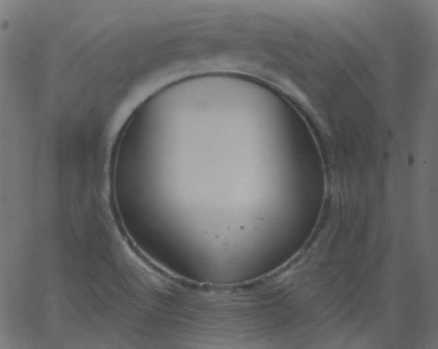 X0000067901512200604271839