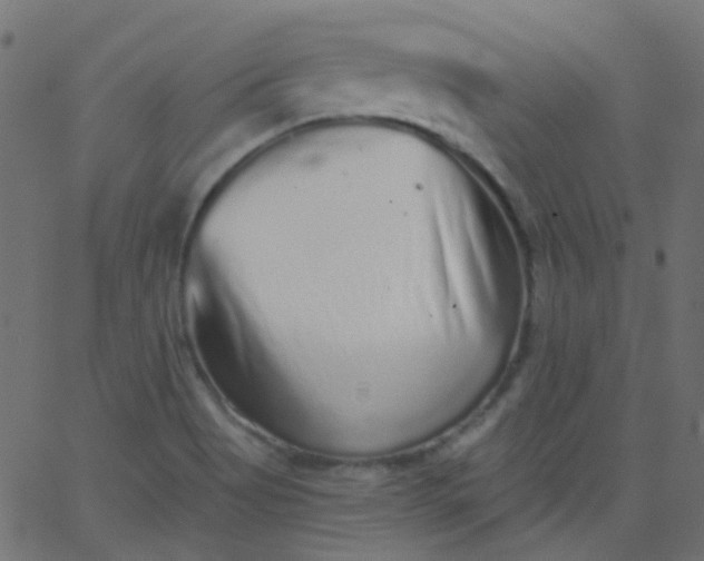 X0000067901513200604271839