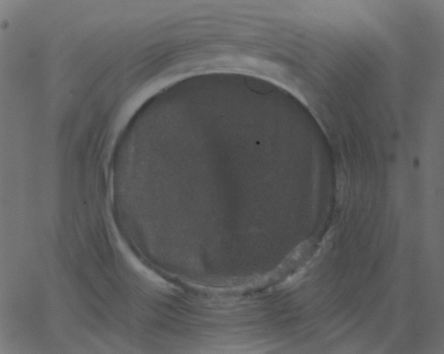 X0000067901515200604271839