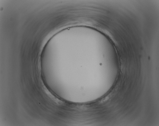 X0000067901516200604271839