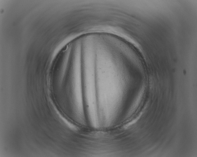 X0000067901517200604271839