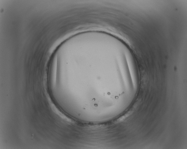 X0000067901518200604271839