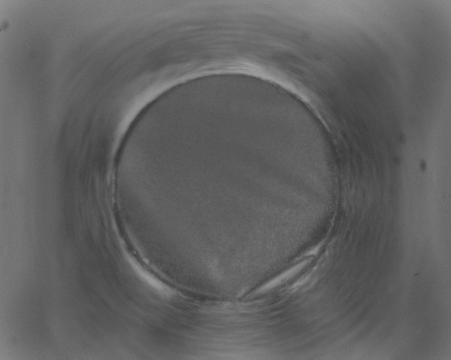 X0000067901519200604271839