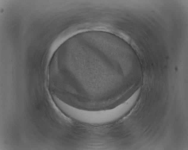 X0000067901520200604271839