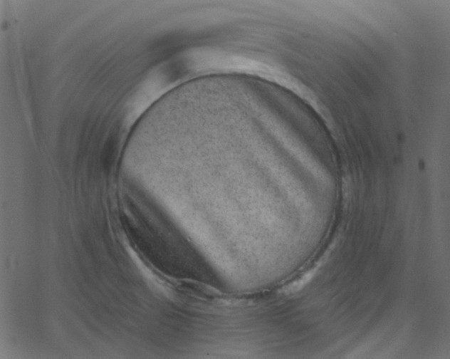 X0000067901521200604271839