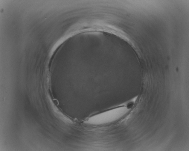 X0000067901522200604271839