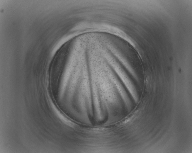 X0000067901523200604271839