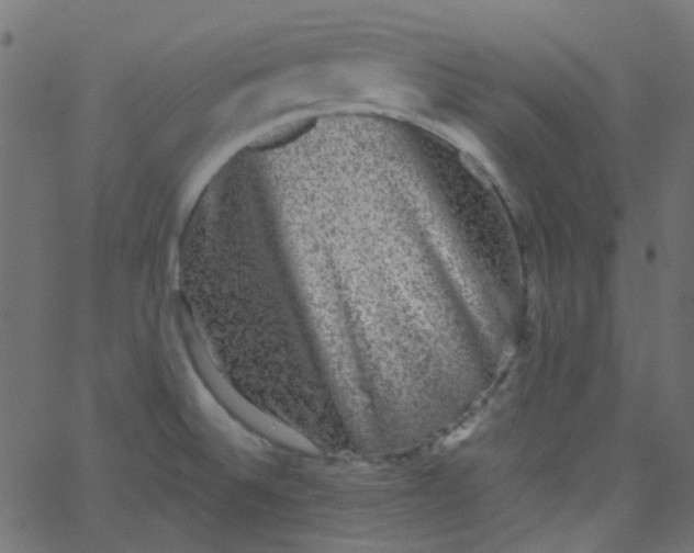 X0000067901524200604271839