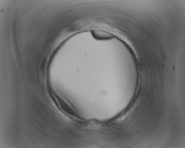 X0000067901525200604271839