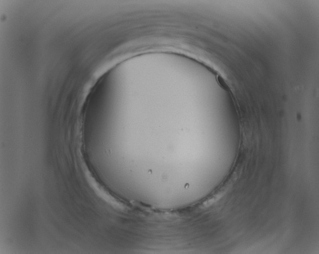 X0000067901526200604271839