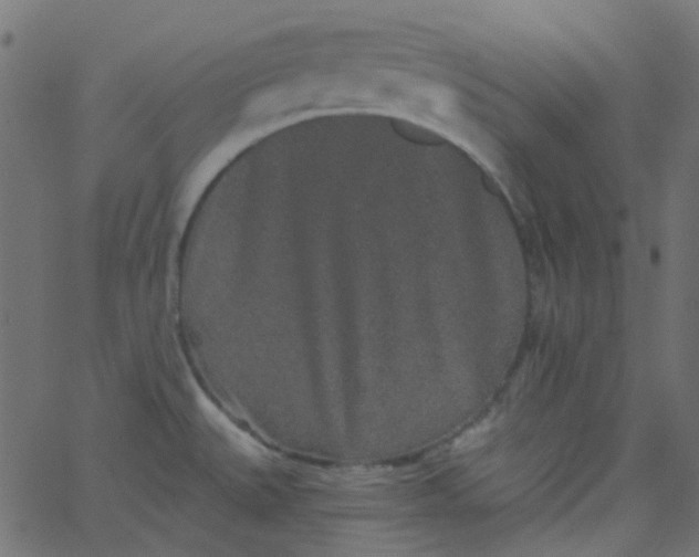 X0000067901527200604271839