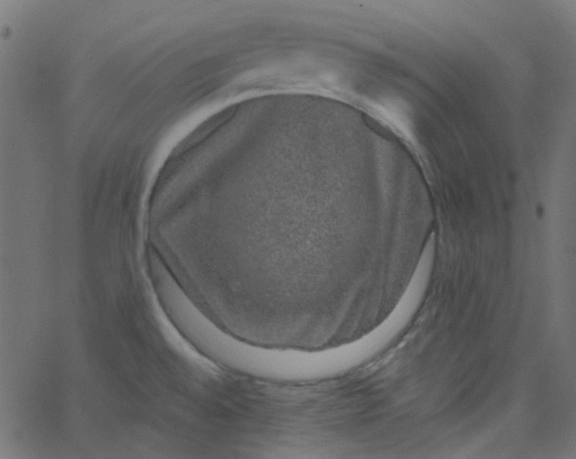 X0000067901528200604271839