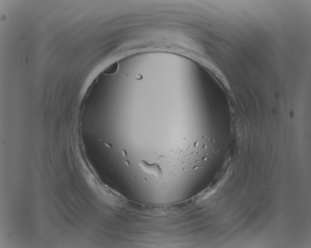 X0000067901530200604271839