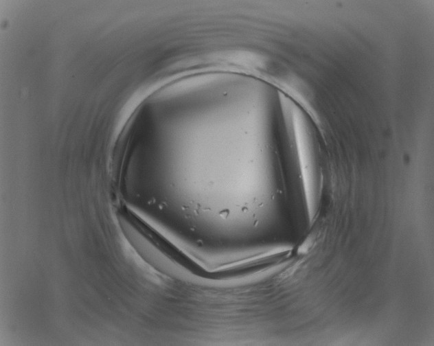 X0000067901532200604271840