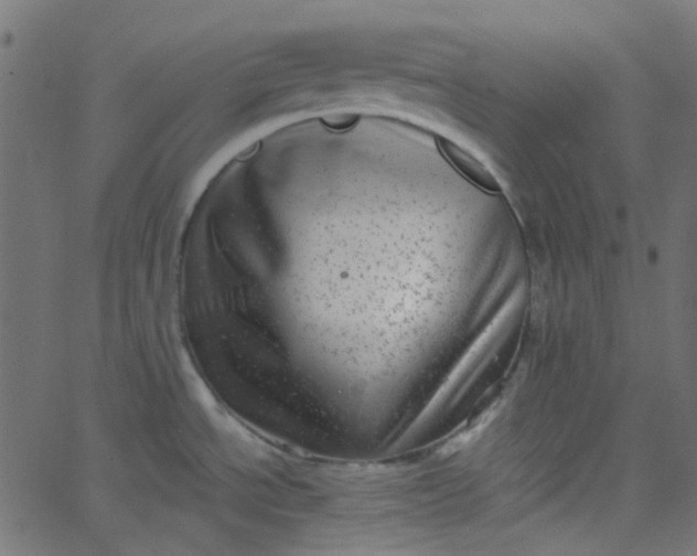 X0000067901534200604271840